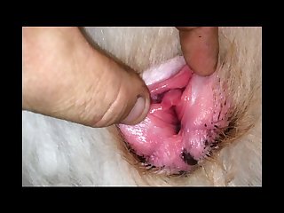 Filme Porno Mulhe Com Zoological