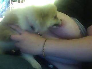 Chinese Hairy Xxx Porn