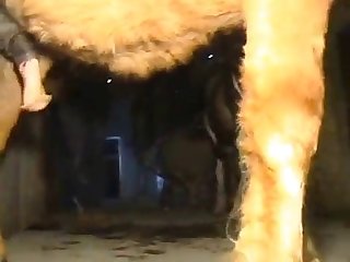 Detached Superstar Blake Mitchell Gif Porn Xxx