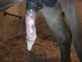 Evanescent Strained Singleness Belt Xxx Porn