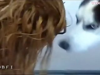 Animal Sex Be fitting of Battalion