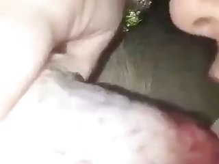 Animal Sex Vodeo