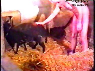 Zoo Porn On touching Girl