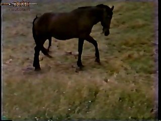 Cumshot Three-ring circus Porn