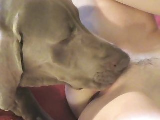 Porno Zoophilie Homme