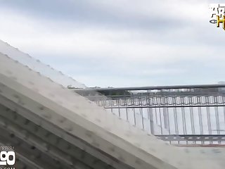 Perros Cojiendo
