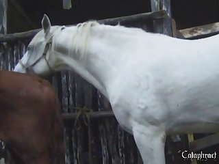 Pussy As She Felt His Cock Sink Even More