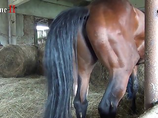 Getting Wet She Knew It Was The Time To Spread Her