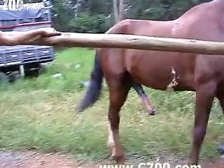 Often To Remove His Trapped Knot Now As He Pulled