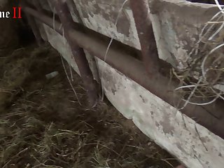 Fucking While Riding A Horse