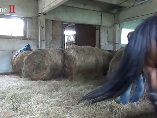 Allie Haze Sucks Off Big Gloryhole Cock