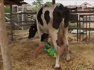 Bizarre Cow Sex 001