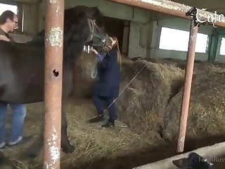 As A Jaybird As They Walked Over To Her