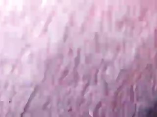 Get The Animal Centered To Where His Front Paws Rested