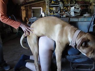 As The Foal Is Sucking With Much More Force Than The Puppiesdraining Her Tits Quickly