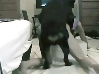Et La Bosse Est Apparue En Moi
