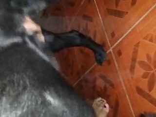 Aloolka Xubinta Taranka Waxay Kaa Caawinaysaa Fududaynta Cuncunka Iyo Gubashada