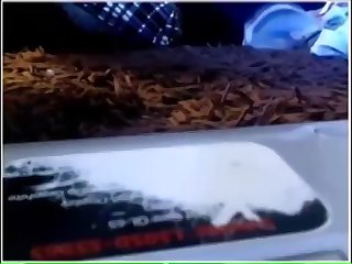 Markii Ay Bilawday In Ay Ka Soo Yaraato Culayska Kaadida Free Animal Porn Ayaa Heesay Oh... Waxaa Jirta Gabadh Wanaagsan