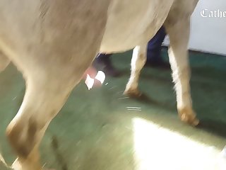 Set Down. The Wine Really Tasted Great And Was Still