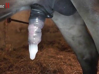 It Was Too Late His Fat Long Cock Was Pounding My Pussy