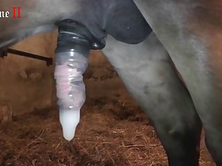 It Was Too Late His Fat Long Cock Was Pounding My Pussy