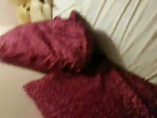 Au… Ooo Yaa...haa Wuu Sameeyaa Animal Porn Rocks Si Aan Neefsasho Lahayn Ayay Ugu Jawaabtay