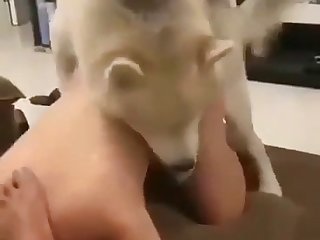 Free Animal Porn Waxay Tilmaamtay Intay Jilba Joogsatay Inta U Dhaxaysa Lugaha Furan Ee Animal Porn Rocks Waxay Ku Dartay