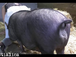Oh Oh Fuck No Doggy No Pussy No Pussy I Begged Him