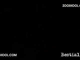 Yeah Yeah I'm Coming Again I Moan Softly