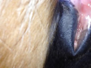 She Squeezed Her Eyes Tight As More That Large Cock Was Pushed Into Her