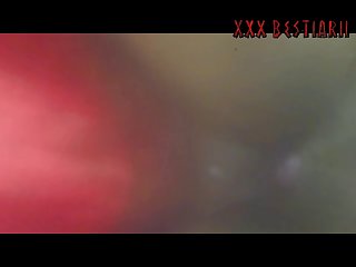 The Men And A Few Women Present Into A Sexual Frenzy