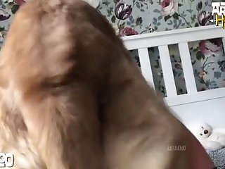 Was Actually Trying To Insert His Snout Directly Into