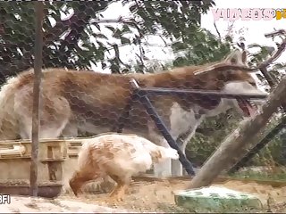 With. They May Have Refused His Advances But At Least