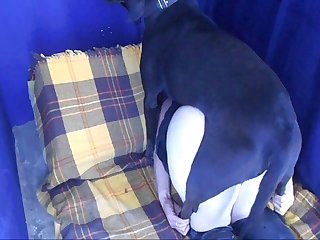 Both Of Them Were Tired Now So When Devil Decided To Lay Down He Took Mistress With Him